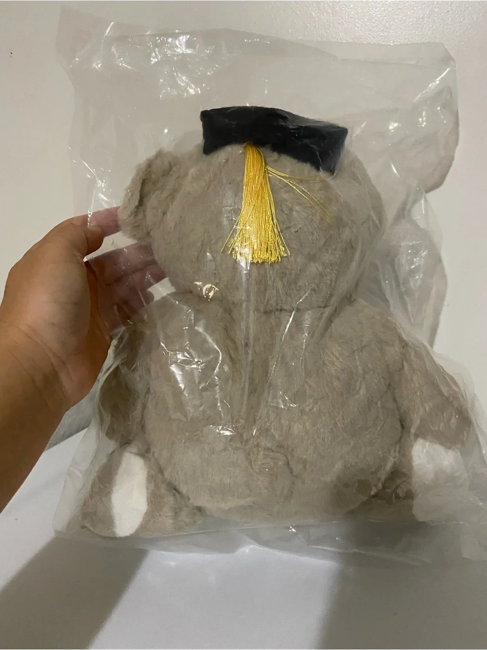 Graduation Bear Plush Toy - Beige Teddy with Cap